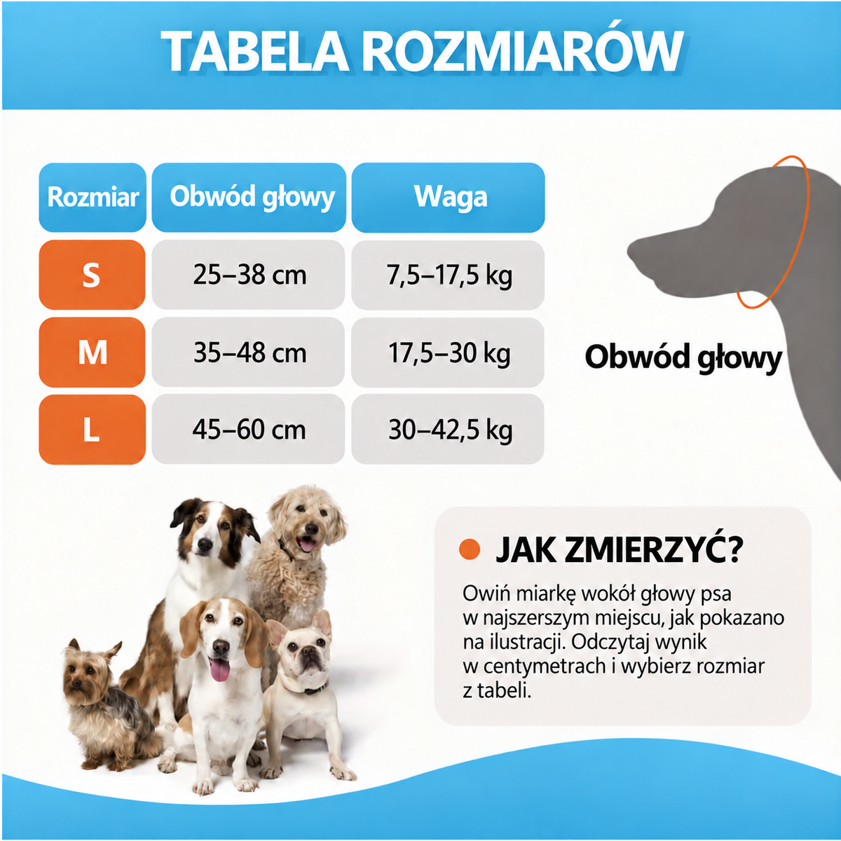 Tabela rozmiarów PsiZen — S, M, L według obwodu głowy i wagi